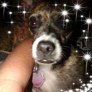 Meet your Posher, Stacy